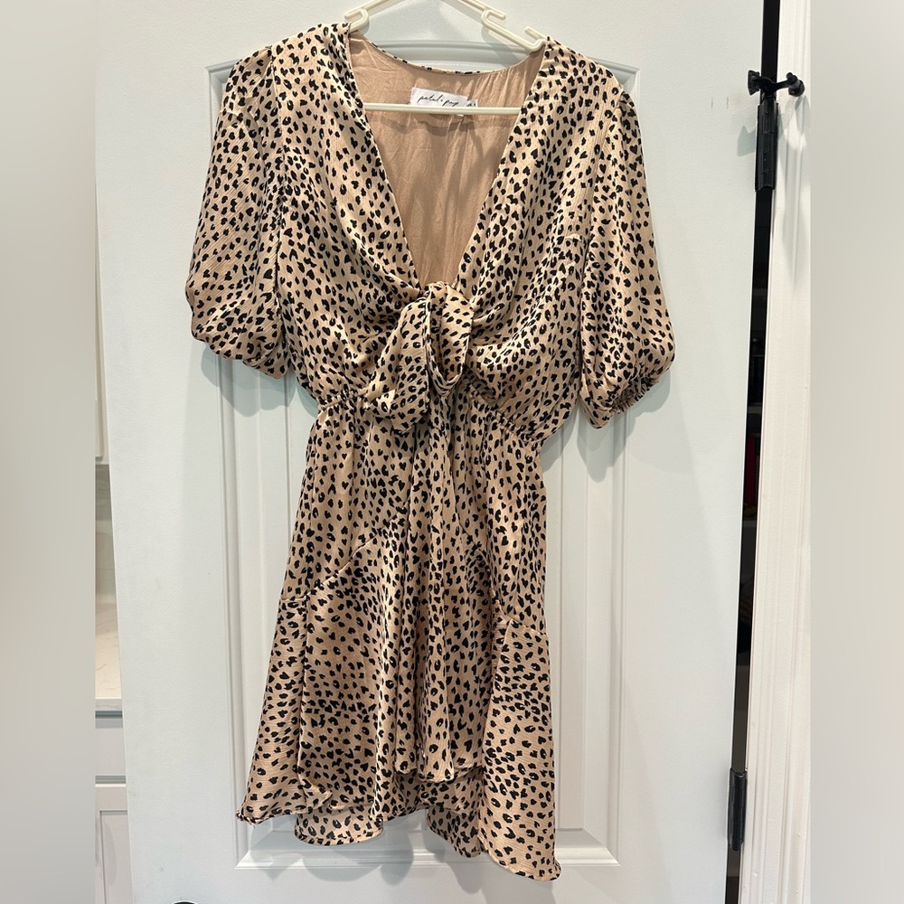 Petal & Pup Eisley Dress